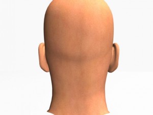 animated male head12011 Modelo 3D