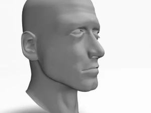 animated male head12011 3D Model