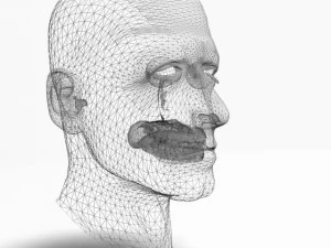 animated male head12011 3D Model
