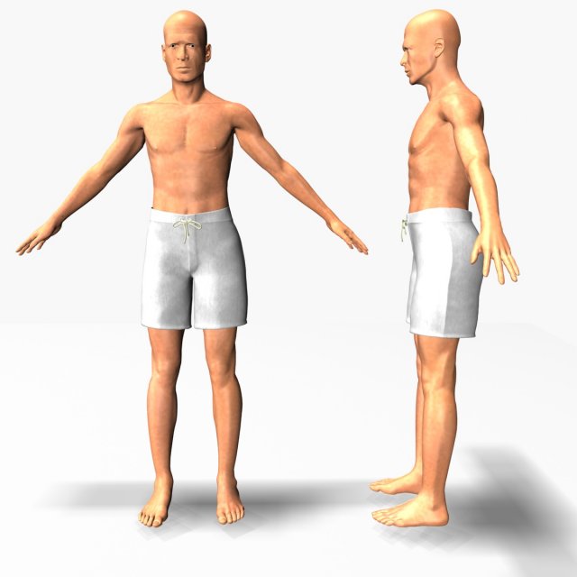 male22011 3D Model .c4d .max .obj .3ds .fbx .stl .blend