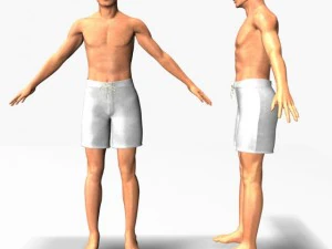 male22011 Modello 3D