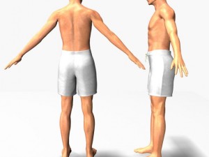 male22011 3D Model