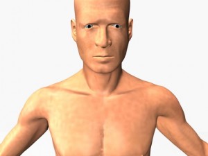 male22011 3D Model