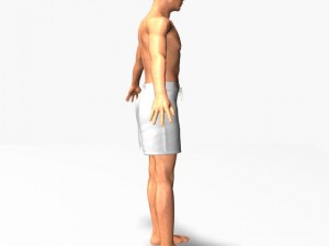 male22011 3D Model