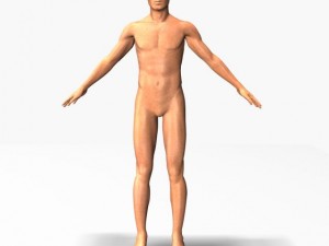 male22011 3D Model