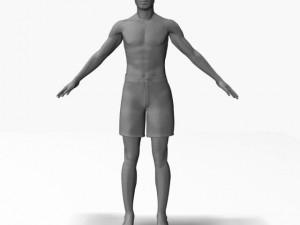male22011 3D Model