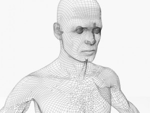 male22011 3D Model
