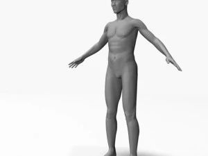 nude male 42011 3D Model