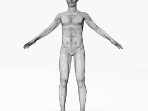 nude male 42011 3D Модель