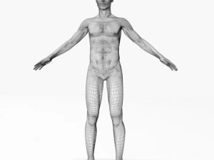nude male 42011 3D Model