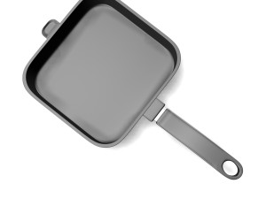 pan 10122010 3D Model