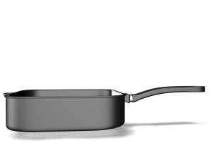 pan 10122010 3D Model