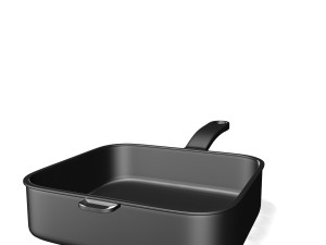 pan 10122010 3D Model
