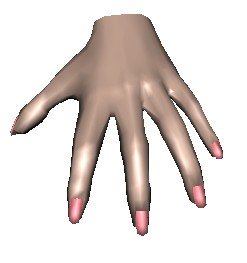 hand 3D Model .c4d .max .obj .3ds .fbx .stl .blend 