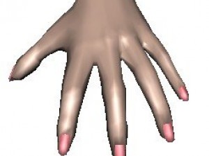 hand 3D Model
