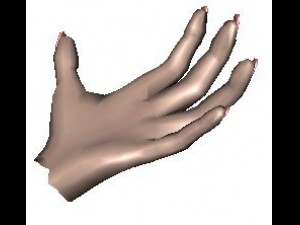 hand 3D Model