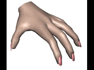 hand 3D Model