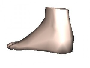 foot 3D Model