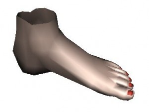 foot 3D Model