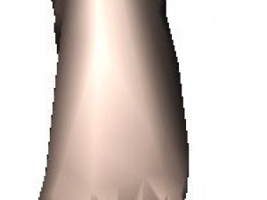 foot 3D Model