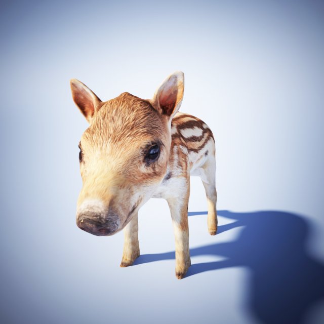 wild piglet 3D मॉडल .c4d .max .obj .3ds .fbx .stl .blend 
