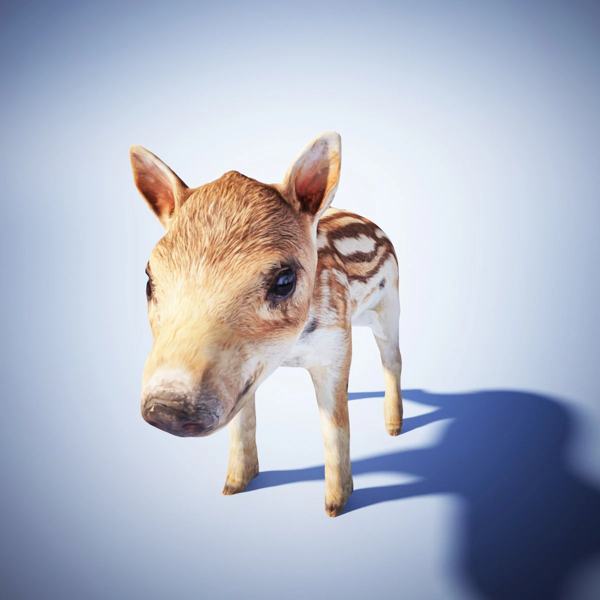 wild piglet 3D Model .c4d .max .obj .3ds .fbx .stl .blend 