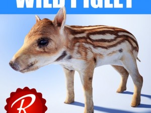 wild piglet 3D मॉडल