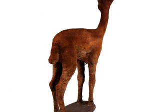 alpaca 3D Model