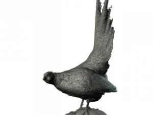 pheasant 3D Model