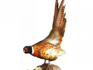 pheasant 3D Model