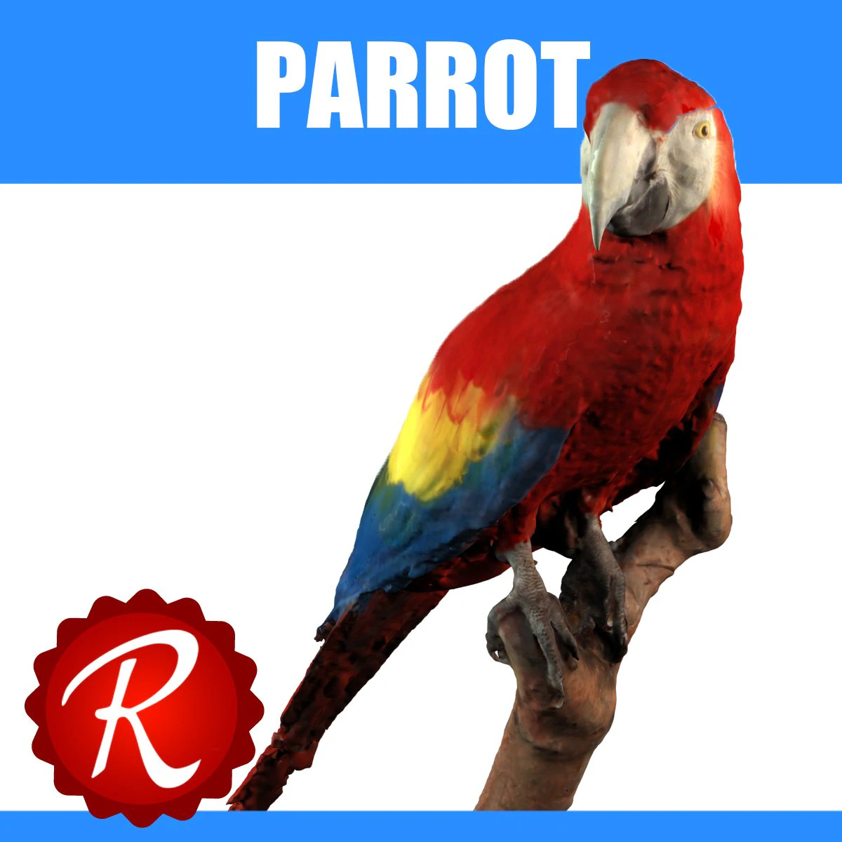 parrot 3D Model .c4d .max .obj .3ds .fbx .stl .blend 