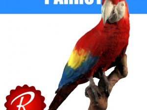 parrot 3D Model