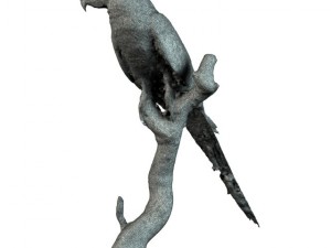 parrot Modèle 3D
