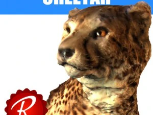 Gepard 3D Modell