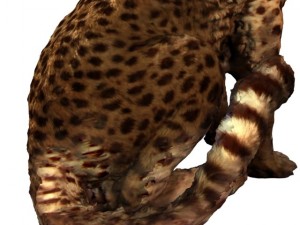 cheetah Modello 3D
