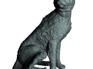 cheetah 3D Model