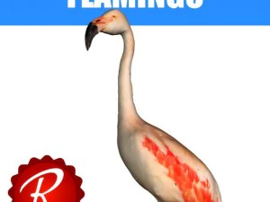 flamingo Model 3D