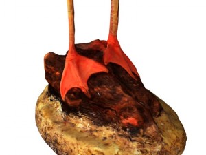 flamingo 3D Model