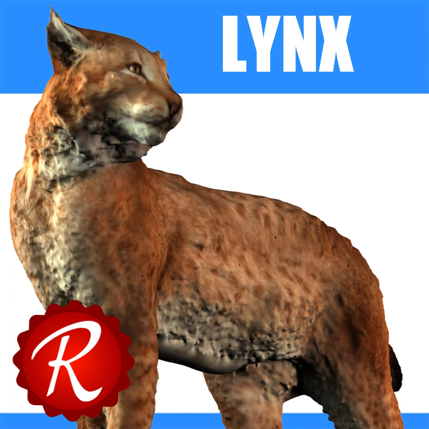lynx 3D Model .c4d .max .obj .3ds .fbx .stl .blend