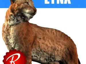 lynx 3D Model