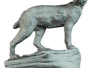 lynx 3D Model