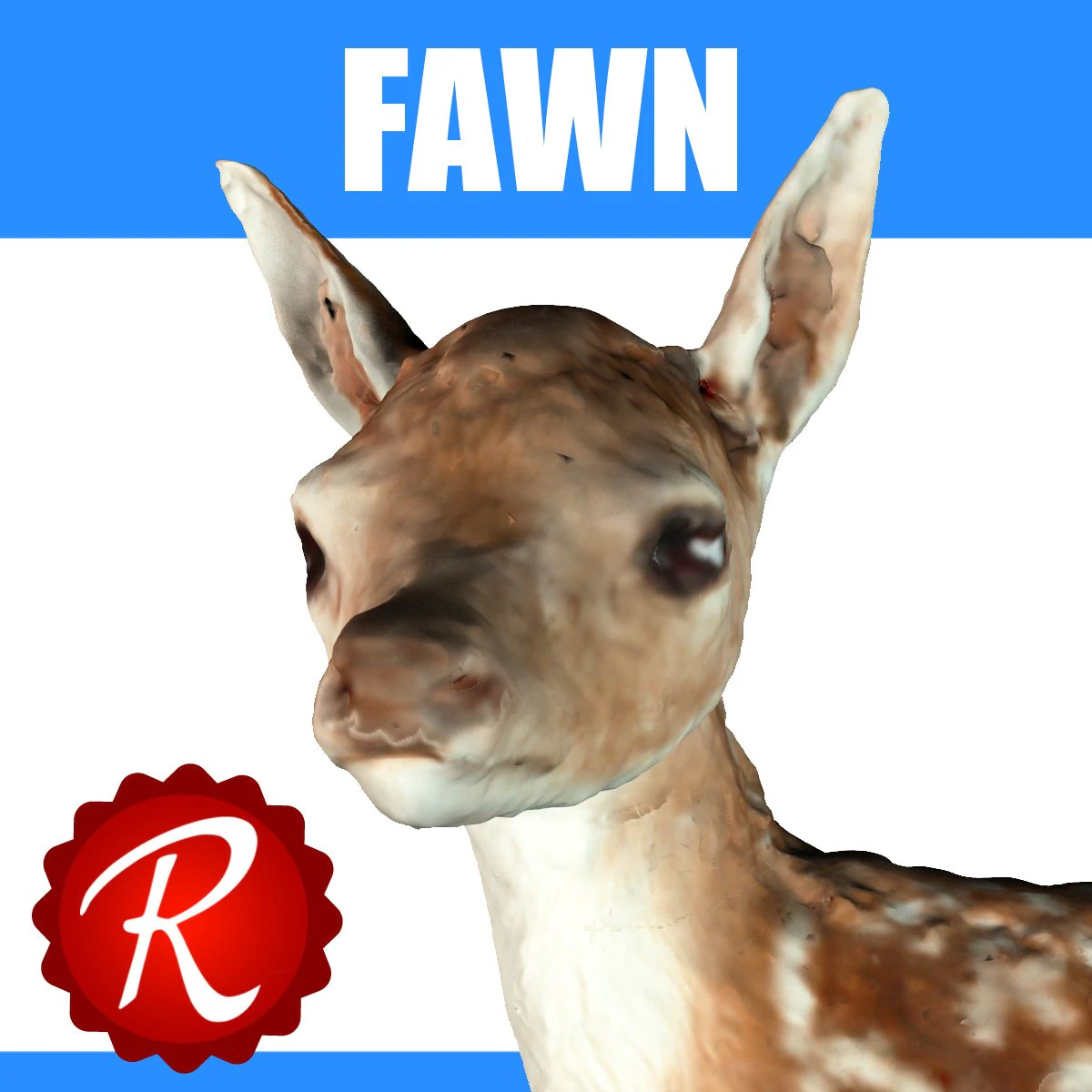 fawn 3D Model .c4d .max .obj .3ds .fbx .stl .blend