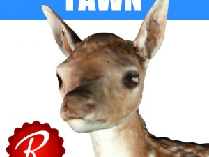fawn Modelo 3D