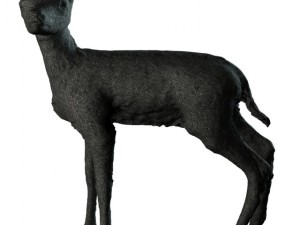fawn 3D मॉडल