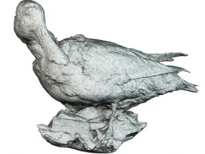 duck 3Dモデル