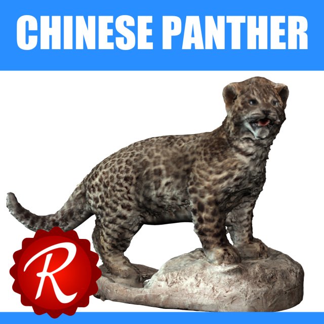 chinese panther 3D-Modell .c4d .max .obj .3ds .fbx .stl .blend 
