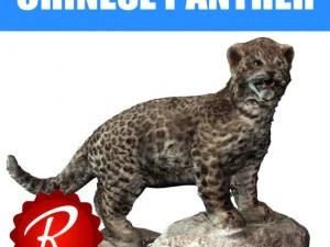 chinesischer Panther 3D Modell