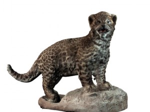 chinese panther 3D-Modell