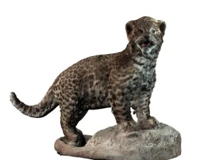 chinese panther 3D Model