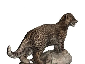 chinese panther 3D Model